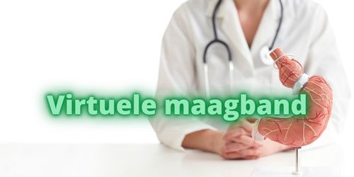 Virtuele maagband