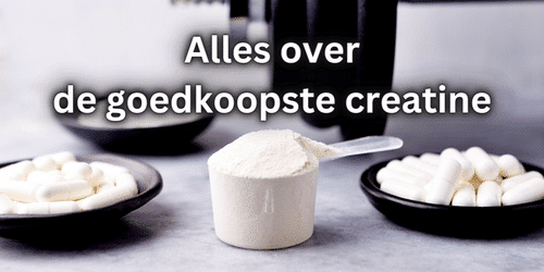 Goedkope Creatine
